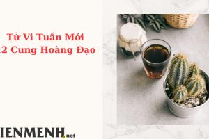 Tử Vi Tuần Mới 12 Cung Hoàng Đạo Từ Ngày 26-6-2023 đến ngày 2-7-2023