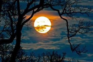 Tuần Trăng Trong Tháng 7 Năm 2023