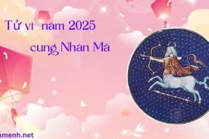 Tử vi năm 2025 - cung Nhân Mã