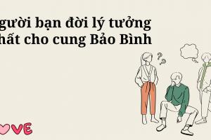 Người bạn đời lý tưởng nhất cho cung Bảo Bình