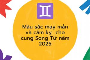 Màu sắc may mắn và cấm kỵ  cho cung Song Tử năm 2025